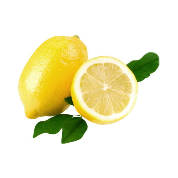 شتلات الليمون